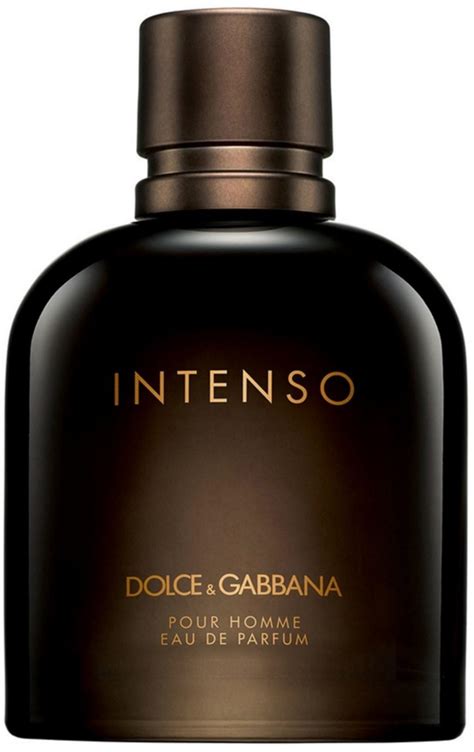 dolce & gabbana for men|dolce and clemente's online store.